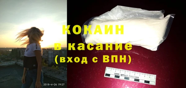 ГАЛЛЮЦИНОГЕННЫЕ ГРИБЫ Инта