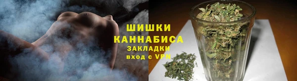 ГАЛЛЮЦИНОГЕННЫЕ ГРИБЫ Инта