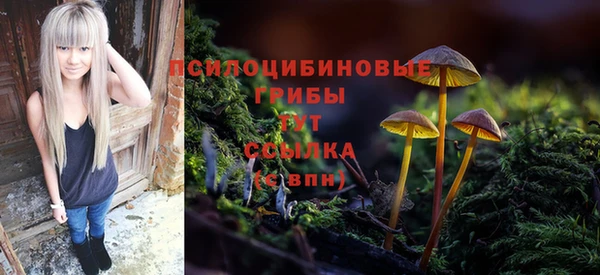 ГАЛЛЮЦИНОГЕННЫЕ ГРИБЫ Инта