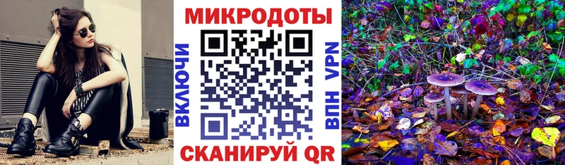 Галлюциногенные грибы Psilocybe Купить Артёмовский